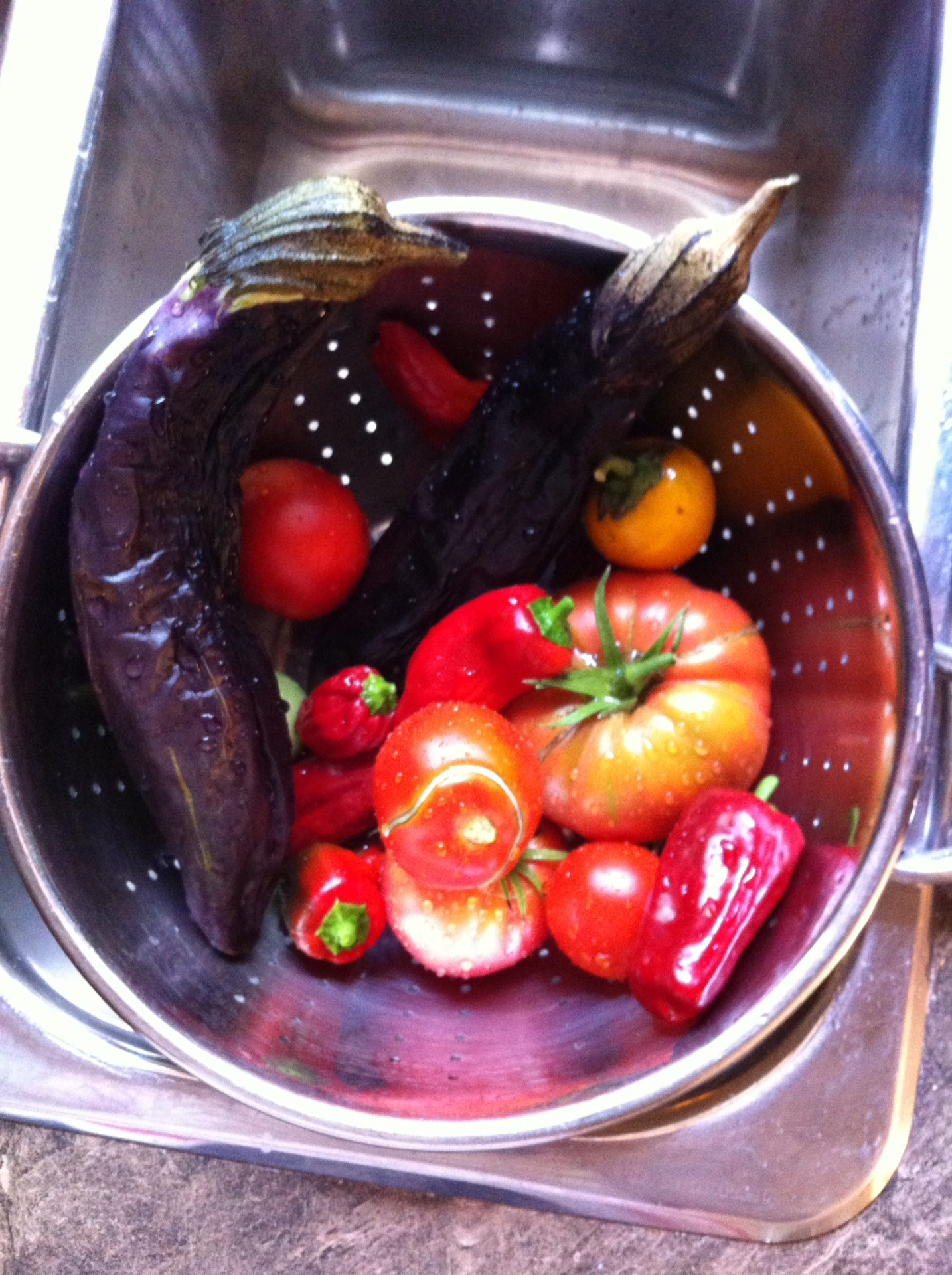 backyard-vegetable-garden
