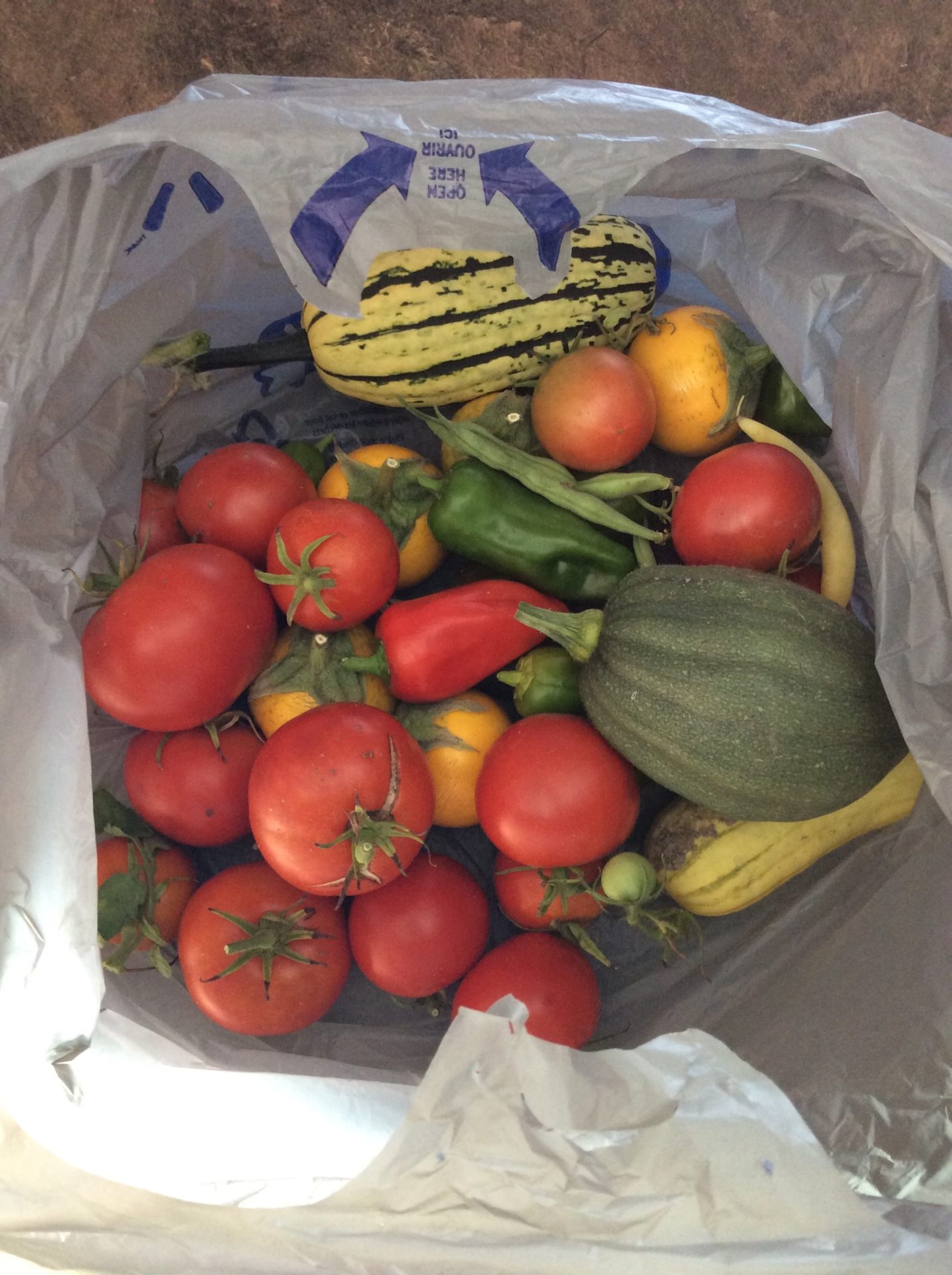 organic-garden-at-home