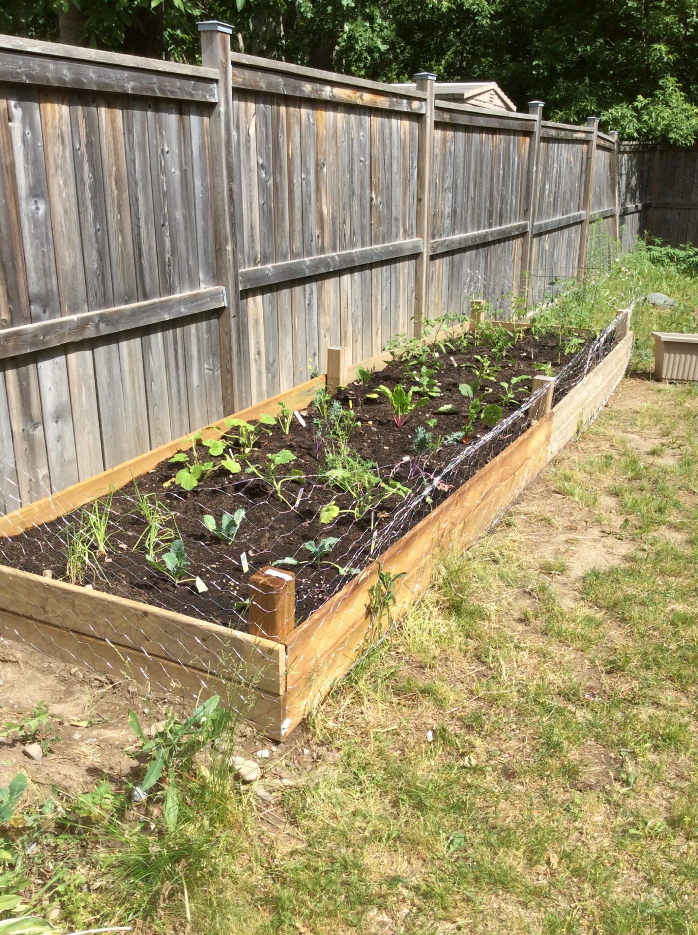 vegetable-garden-design-ideas
