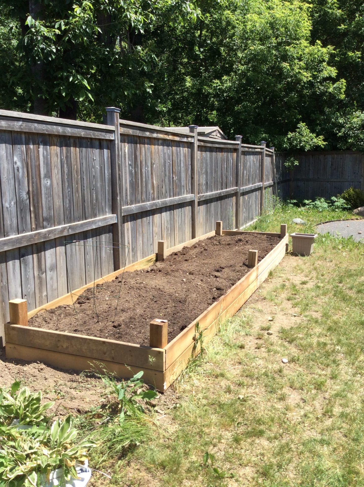 vegetable-garden-design
