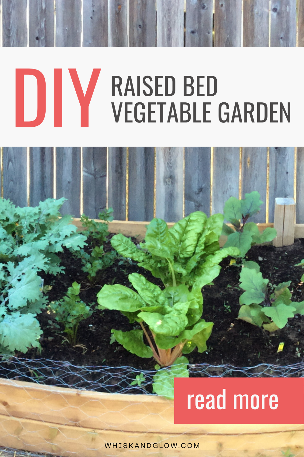 DIY-raised-bed-vegetable-garden