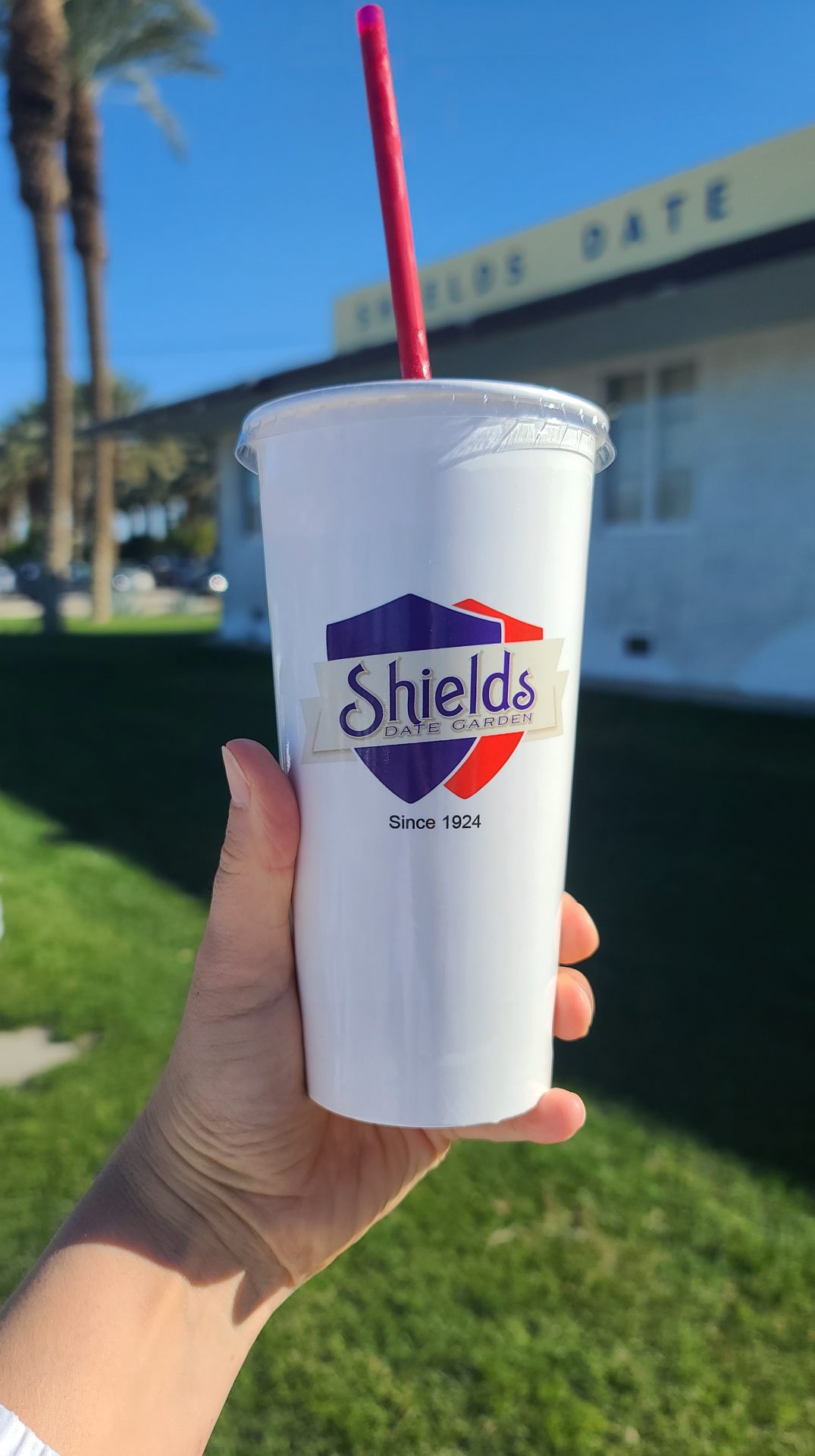 shields-date-farm-things-to-do-palm-springs